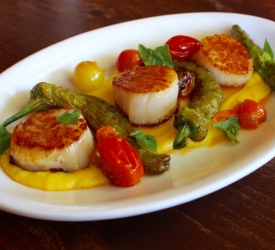 Scallops